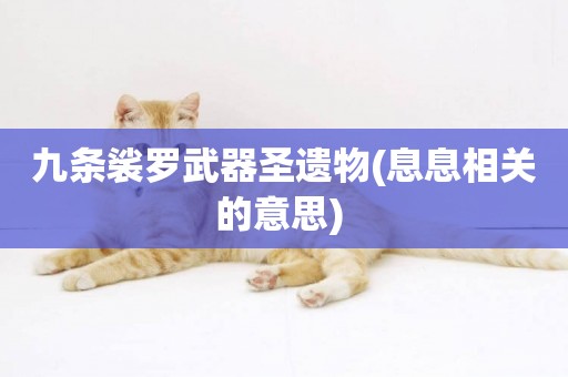 九條裟羅武器圣遺物(息息相關的意思) 