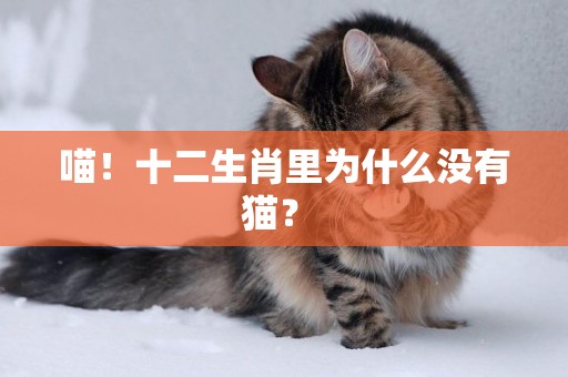 喵！十二生肖里為什么沒有貓？ 