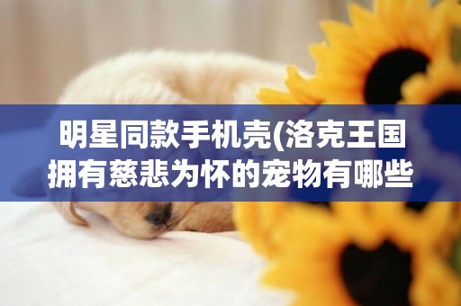明星同款手機殼(洛克王國擁有慈悲為懷的寵物有哪些) 