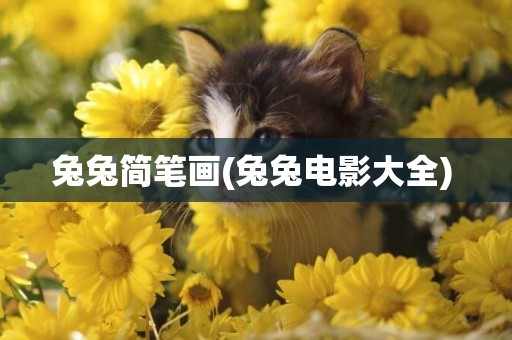 兔兔簡筆畫(兔兔電影大全) 