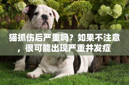 貓抓傷后嚴重嗎？如果不注意，很可能出現嚴重并發癥 