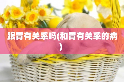 跟胃有關系嗎(和胃有關系的病) 