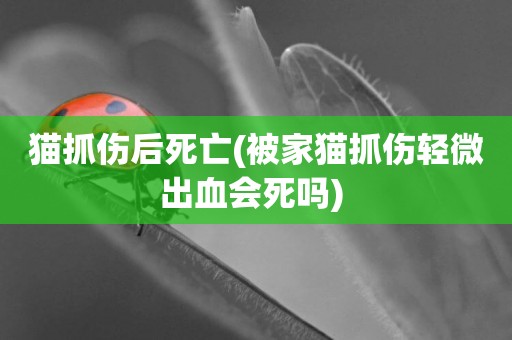貓抓傷后死亡(被家貓抓傷輕微出血會死嗎) 