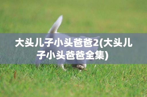 大頭兒子小頭爸爸2(大頭兒子小頭爸爸全集) 