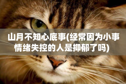 山月不知心底事(經常因為小事情緒失控的人是抑郁了嗎) 