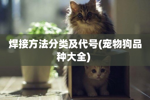 焊接方法分類及代號(寵物狗品種大全) 