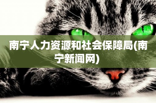 南寧人力資源和社會保障局(南寧新聞網) 