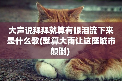 大聲說拜拜就算有眼淚流下來是什么歌(就算大雨讓這座城市顛倒) 