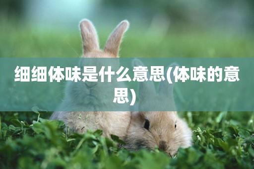 細細體味是什么意思(體味的意思) 