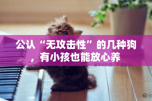 公認“無攻擊性”的幾種狗，有小孩也能放心養 