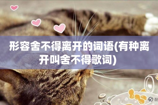 形容舍不得離開的詞語(有種離開叫舍不得歌詞) 