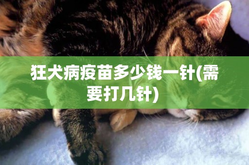 狂犬病疫苗多少錢一針(需要打幾針) 