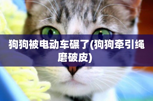 狗狗被電動車碾了(狗狗牽引繩磨破皮) 