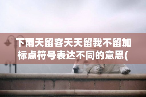 下雨天留客天天留我不留加標點符號表達不同的意思(天下雨 地上濕) 
