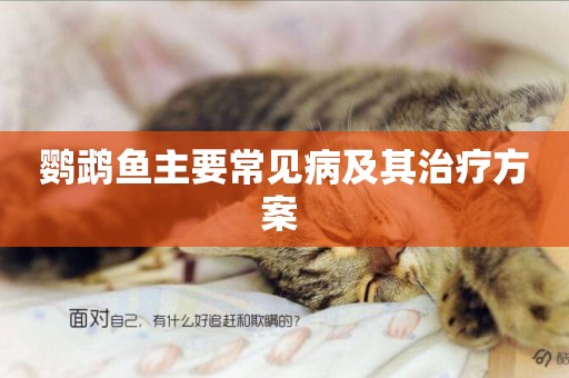 鸚鵡魚主要常見病及其治療方案 