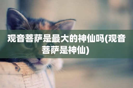 觀音菩薩是最大的神仙嗎(觀音菩薩是神仙) 