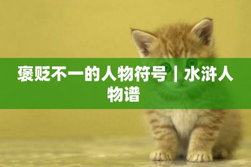 褒貶不一的人物符號｜水滸人物譜 