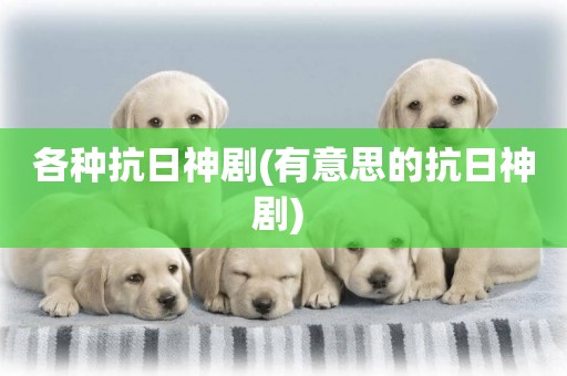 各種抗日神劇(有意思的抗日神劇) 