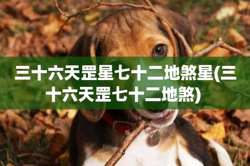 三十六天罡星七十二地煞星(三十六天罡七十二地煞) 
