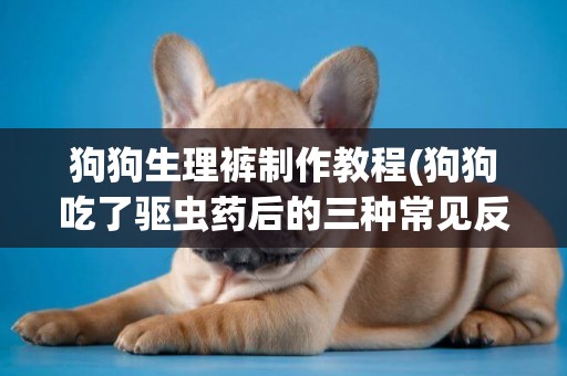 狗狗生理褲制作教程(狗狗吃了驅蟲藥后的三種常見反應) 