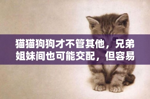 貓貓狗狗才不管其他，兄弟姐妹間也可能交配，但容易出問題 