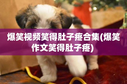 爆笑視頻笑得肚子疼合集(爆笑作文笑得肚子疼) 