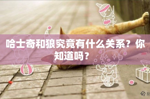 哈士奇和狼究竟有什么關系？你知道嗎？ 