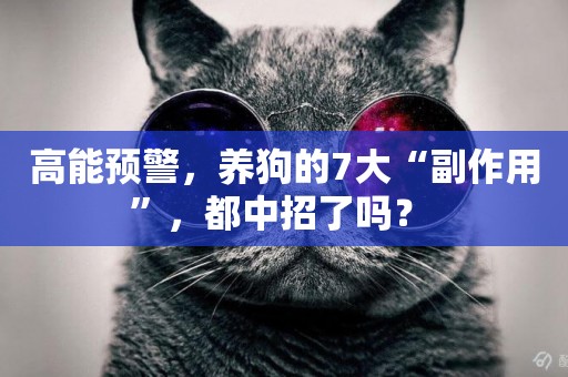 高能預警，養狗的7大“副作用”，都中招了嗎？ 