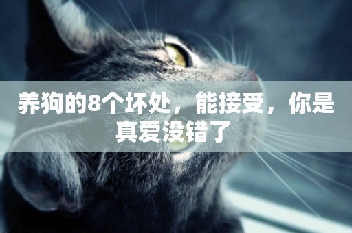 養狗的8個壞處，能接受，你是真愛沒錯了 