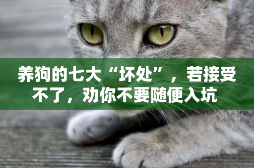 養狗的七大“壞處”，若接受不了，勸你不要隨便入坑 