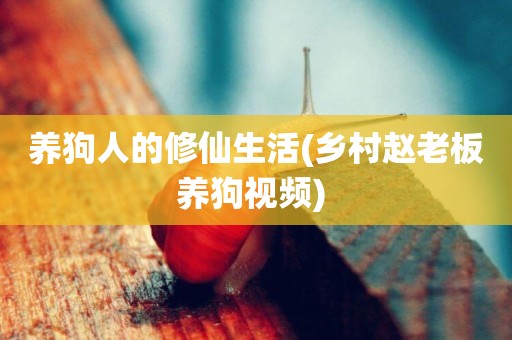 養狗人的修仙生活(鄉村趙老板養狗視頻) 