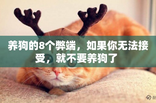 養狗的8個弊端，如果你無法接受，就不要養狗了 