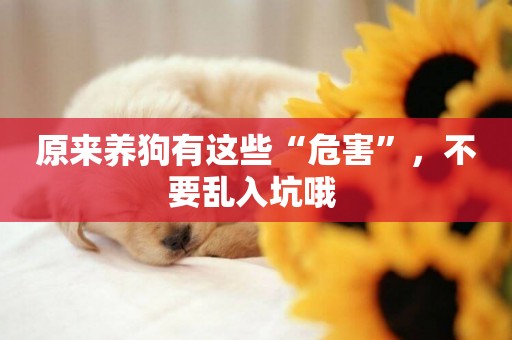 原來養狗有這些“危害”，不要亂入坑哦 