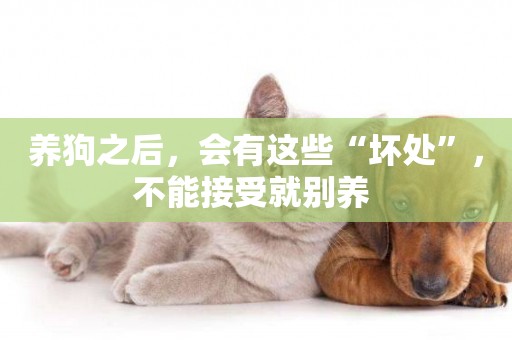 養狗之后，會有這些“壞處”，不能接受就別養 