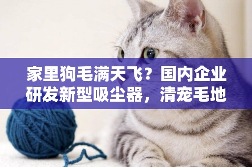 家里狗毛滿天飛？國內企業研發新型吸塵器，清寵毛地面衣服全能吸 