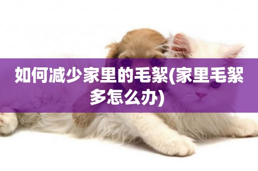 如何減少家里的毛絮(家里毛絮多怎么辦) 