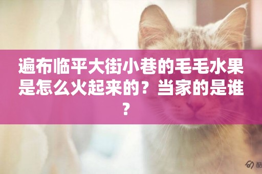 遍布臨平大街小巷的毛毛水果是怎么火起來的？當家的是誰？ 