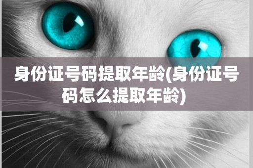 身份證號碼提取年齡(身份證號碼怎么提取年齡) 