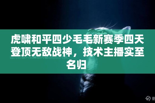 虎嘯和平四少毛毛新賽季四天登頂無敵戰神，技術主播實至名歸 
