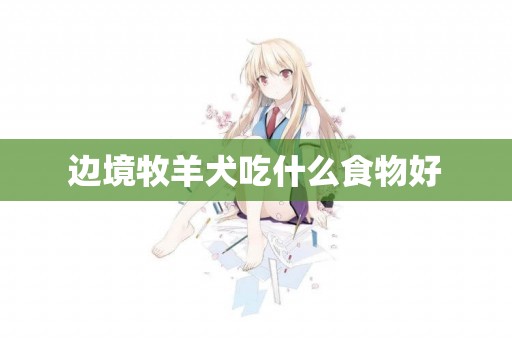邊境牧羊犬吃什么食物好