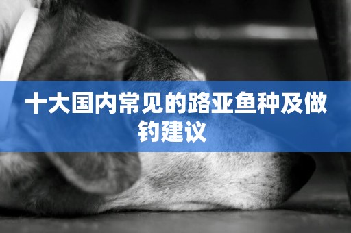 十大國內常見的路亞魚種及做釣建議 