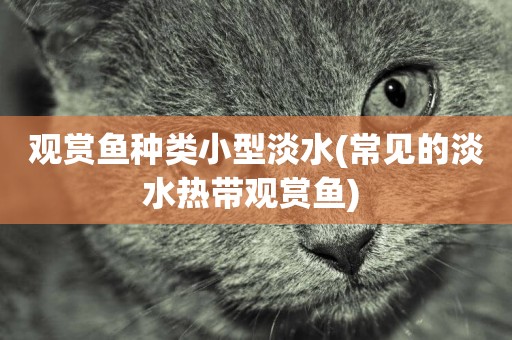 觀賞魚種類小型淡水(常見的淡水熱帶觀賞魚) 