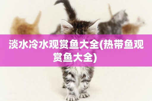 淡水冷水觀賞魚大全(熱帶魚觀賞魚大全) 