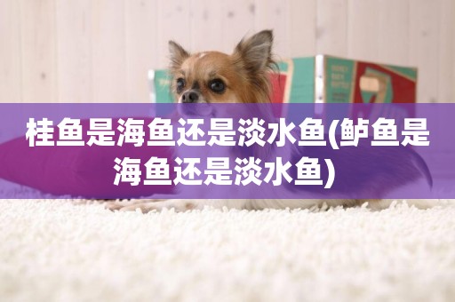桂魚是海魚還是淡水魚(鱸魚是海魚還是淡水魚) 