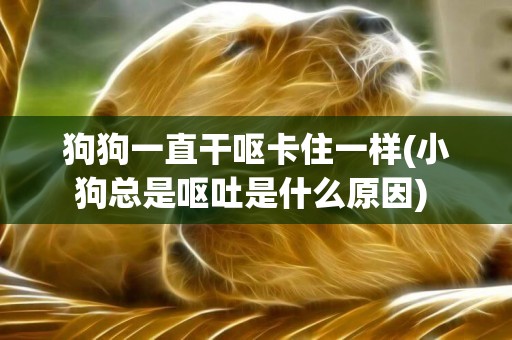 狗狗一直干嘔卡住一樣(小狗總是嘔吐是什么原因) 