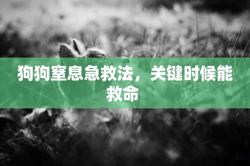 狗狗窒息急救法，關鍵時候能救命 
