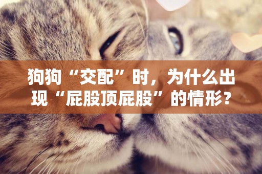 狗狗“交配”時，為什么出現“屁股頂屁股”的情形？ 