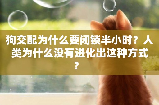 狗交配為什么要閉鎖半小時？人類為什么沒有進化出這種方式？ 