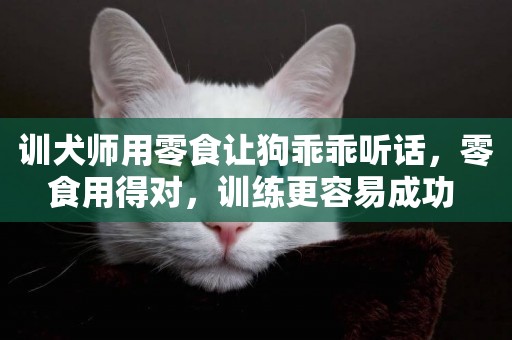 訓犬師用零食讓狗乖乖聽話，零食用得對，訓練更容易成功 