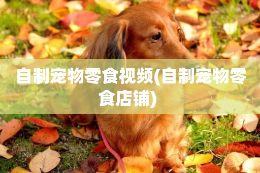 自制寵物零食視頻(自制寵物零食店鋪) 